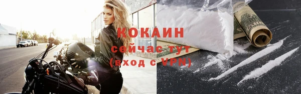 винт Коряжма