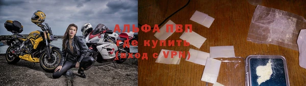 сатива Корсаков