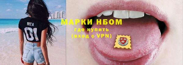 индика Оленегорск