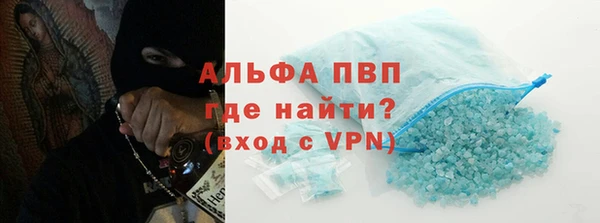 сатива Корсаков