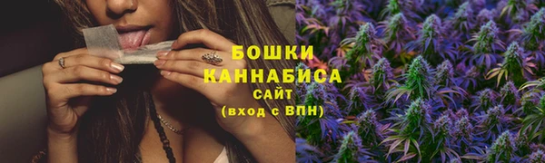 прущий лед Костерёво