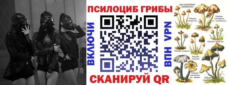 OMG зеркало  площадка формула  Галлюциногенные грибы MAGIC MUSHROOMS  купить наркотики сайты  Ногинск 
