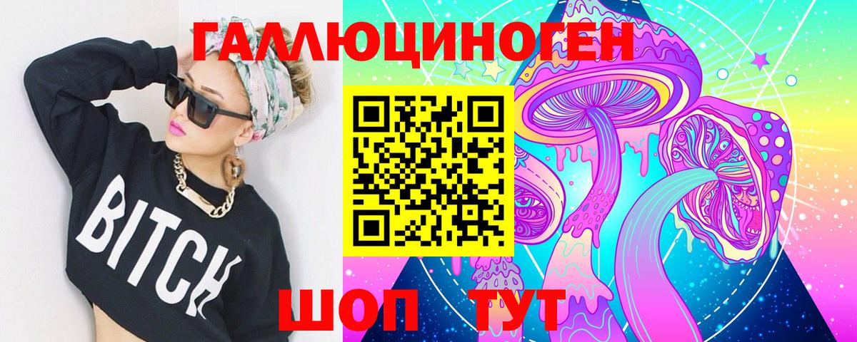 Галлюциногенные грибы Psilocybe  Ногинск 