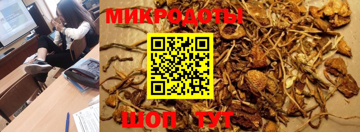 Псилоцибиновые грибы прущие грибы Ногинск