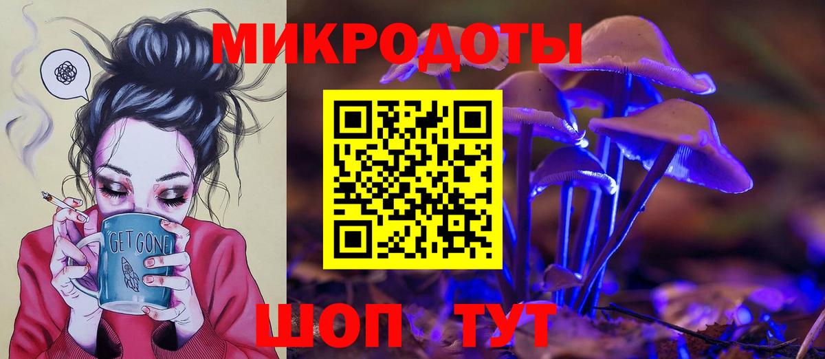 продажа наркотиков  Галлюциногенные грибы GOLDEN TEACHER  Вход с VPN  Ногинск 